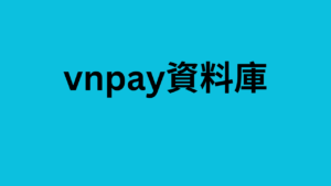 vnpay資料庫